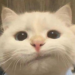 jinglitools
